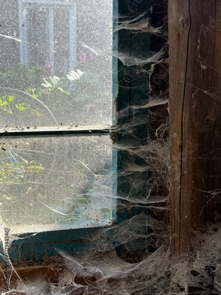 Fototapeta A room abandoned by man, covered with a layer of dust, cobwebs and flies