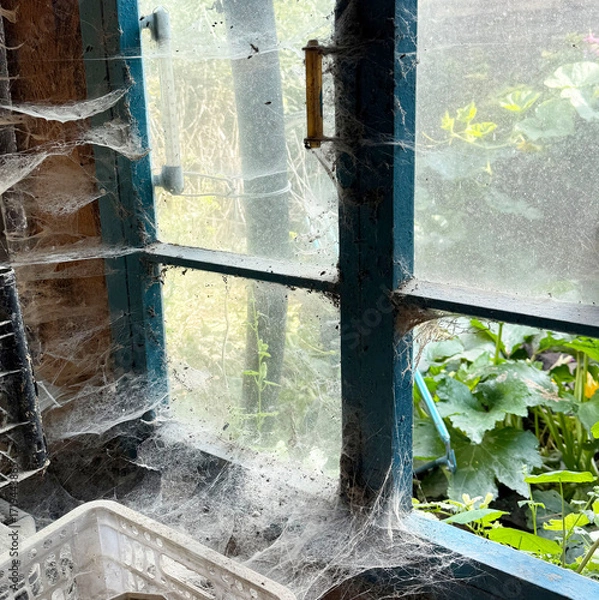 Fototapeta A room abandoned by man, covered with a layer of dust, cobwebs and flies