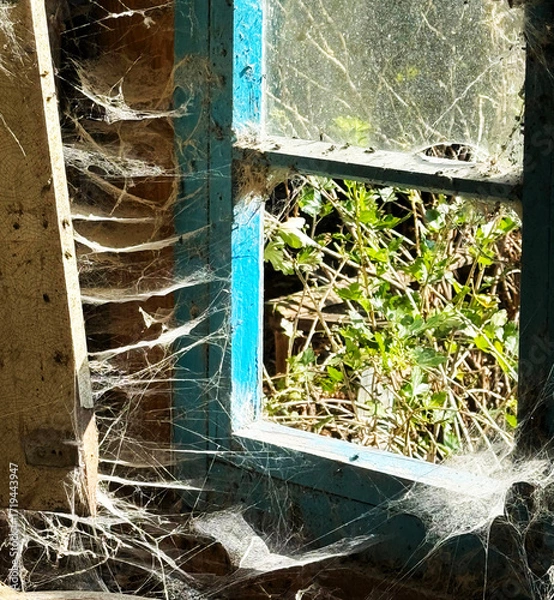 Fototapeta A room abandoned by man, covered with a layer of dust, cobwebs and flies