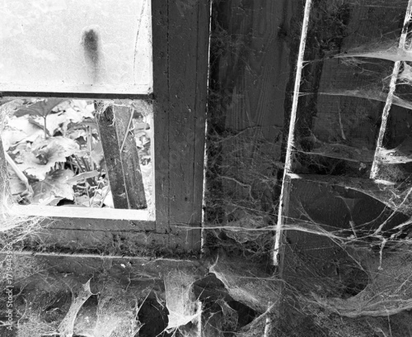 Fototapeta A room abandoned by man, covered with a layer of dust, cobwebs and flies