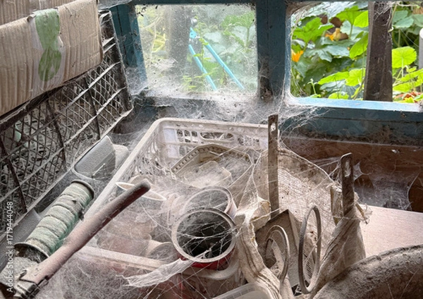 Fototapeta A room abandoned by man, covered with a layer of dust, cobwebs and flies