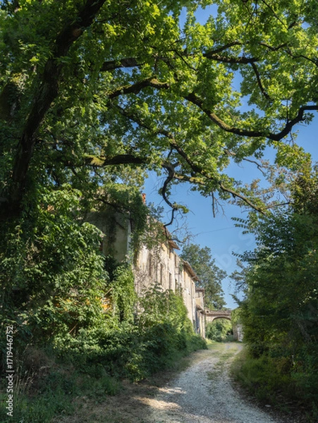 Fototapeta Path Through Overgrown Ancient Buildings in Collecchio, Parma - Italy