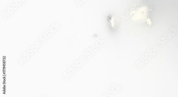 Fototapeta Abstract light gray shapes and lines suggesting a soft ambient texture or subtle background element