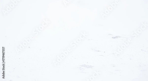 Fototapeta Abstract white geometric shapes minimalist design clean modern graphic element