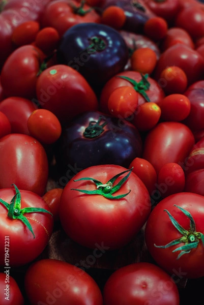 Obraz Close-up of fresh organic tomatoes of different varieties, symbol of natural farming, healthy lifestyle and sustainable agriculture.
