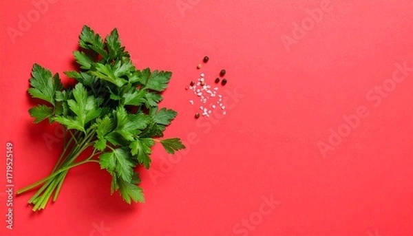 Obraz Fresh Parsley Sprigs with Salt and Pepper on Red Background.