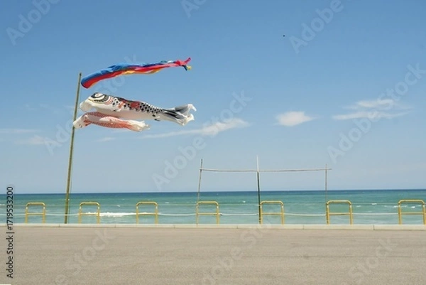 Obraz 元気よく青空を泳ぐ、日本海に面した海岸に設置された鯉のぼり　島根県　益田市