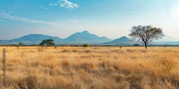 Obraz Wild Grasses serene and Mountains on the Horizon. nature yellow grass field savanna meadow.