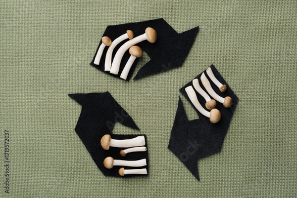 Fototapeta Creative recycling symbol with fresh mushrooms on a green textile background. Environmentally friendly alternative to synthetic fibers in the textile industry. Future of ethical fashion.