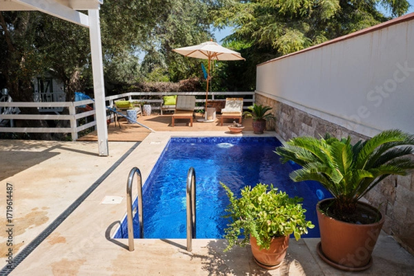 Fototapeta Inviting swimming pool with clean blue water surrounded by plants and trees