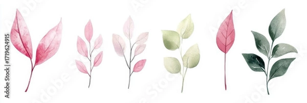 Fototapeta watercolor green leaves elements. Collection botanical vector isolated on white background