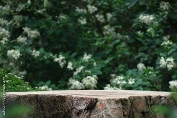 Fototapeta Wood podium stand with white flower green tropical forest nature background.natural product pedestal wooden table top display.jungle paradise concept.