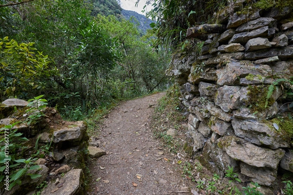 Fototapeta A winding trail through lush greenery leads the way to the mighty Gocta Waterfalls. Each step along this serene path invites travelers deeper into the heart of the Amazonas region.