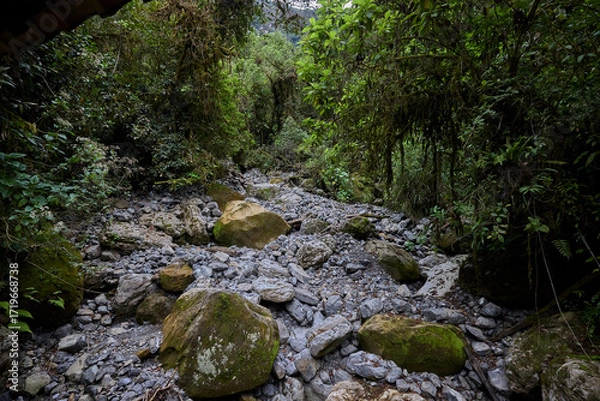 Fototapeta A winding trail through lush greenery leads the way to the mighty Gocta Waterfalls. Each step along this serene path invites travelers deeper into the heart of the Amazonas region.