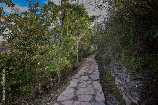 Fototapeta A winding trail through lush greenery leads the way to the mighty Gocta Waterfalls. Each step along this serene path invites travelers deeper into the heart of the Amazonas region.