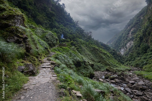 Fototapeta A winding trail through lush greenery leads the way to the mighty Gocta Waterfalls. Each step along this serene path invites travelers deeper into the heart of the Amazonas region.