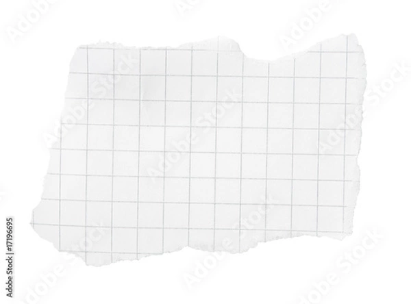 Obraz Torn Bit of Squared Paper