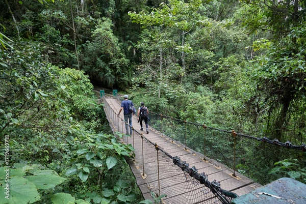 Fototapeta A winding trail through lush greenery leads the way to the mighty Gocta Waterfalls. Each step along this serene path invites travelers deeper into the heart of the Amazonas region.