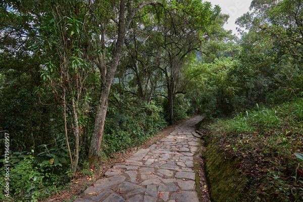 Fototapeta A winding trail through lush greenery leads the way to the mighty Gocta Waterfalls. Each step along this serene path invites travelers deeper into the heart of the Amazonas region.