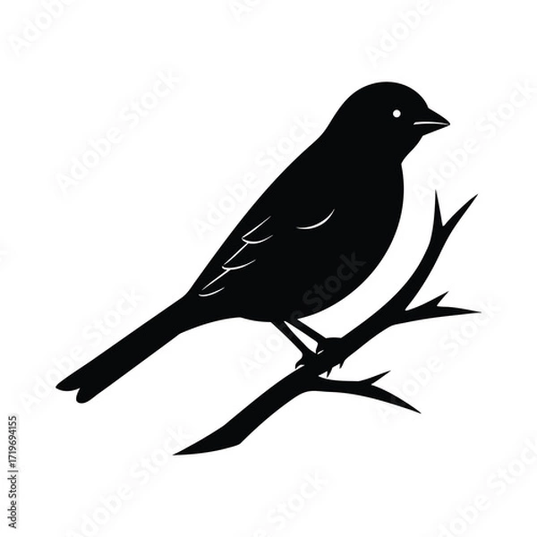 Fototapeta Branch with bird silhouette vector illustration
