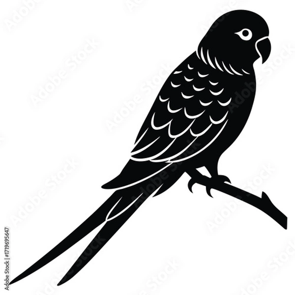 Fototapeta Parakeet sitting branch silhouette vector illustration