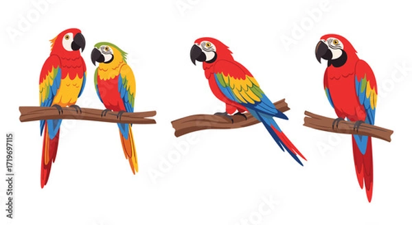 Fototapeta Three pairs of colorful macaws perched on branches in a tropical jungle.