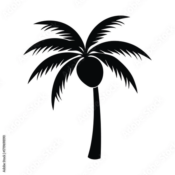Fototapeta Coconut branch part silhouette vector illustration