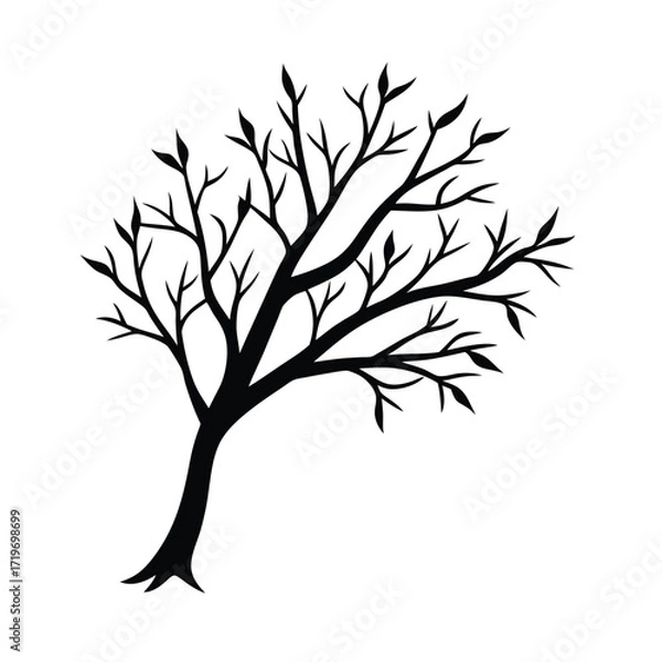 Fototapeta Papaya branch part silhouette vector illustration