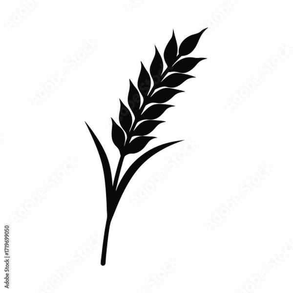 Fototapeta Papaya leaf branch silhouette vector illustration