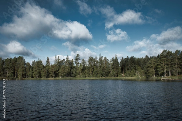Fototapeta Swedish lake with forest reflection under blue sky on a sunny day