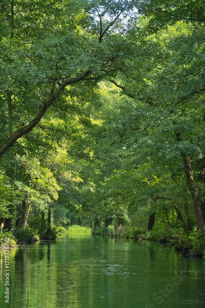 Fototapeta Idyllic river in the Spreewald with reflections in the clear water