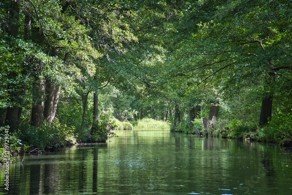 Fototapeta Idyllic river in the Spreewald with reflections in the clear water