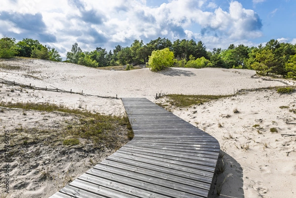 Obraz Wooden boardwalk across white sand dunes in coastal Latvia, Baltic landscape