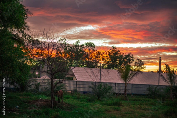 Fototapeta The background of the twilight sunset, the sky has beautiful changes, amidst the green fields and various trees, there is a cool breeze blowing throughout the journey to the viewpoint.
