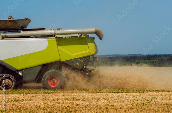 Fototapeta Combine harvester in action on wheat field. Process of gathering a ripe crop.