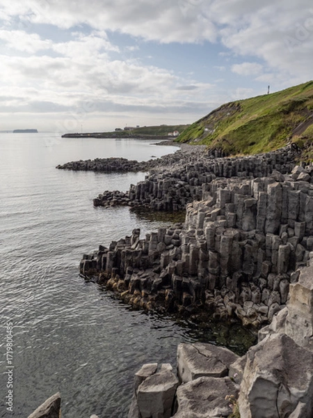 Fototapeta shore and basalt rock formation on the seashore in iceland