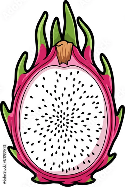 Obraz Dragon Fruit Vector Illustration