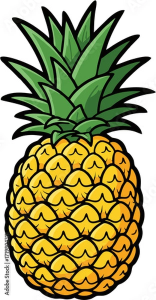 Obraz Pineapple Vector