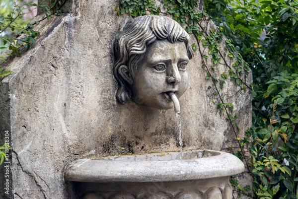 Fototapeta A decorative stone fountain featuring a sculpted head design and surrounded by green climbing foliage