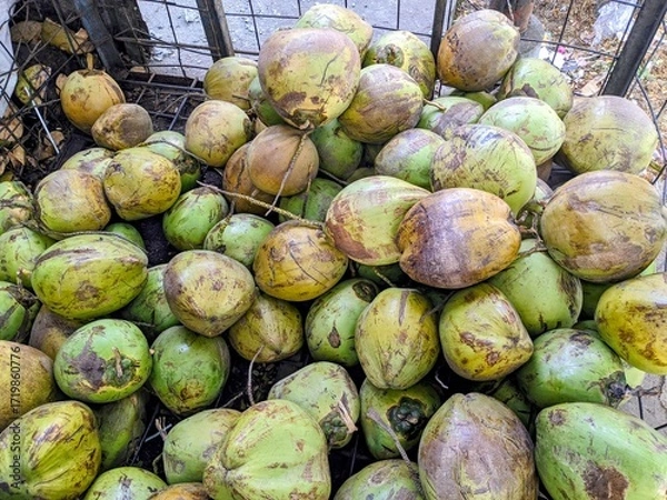 Obraz A close-up view of a large pile of fresh, green coconuts, ready for sale.