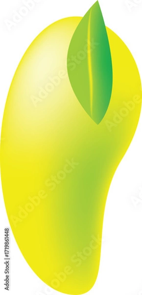 Fototapeta mango vector