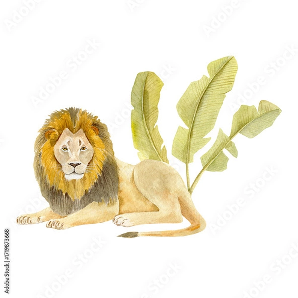 Fototapeta Hand-painted watercolor illustration of a majestic lion and banana tree in the background. Artistic wildlife artwork with soft textures and delicate brushstrokes. Perfect for posters, prints, cards, a