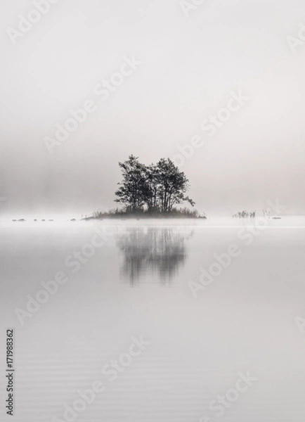 Fototapeta Peaceful and simple view from island at the lake in National Park, Finland.