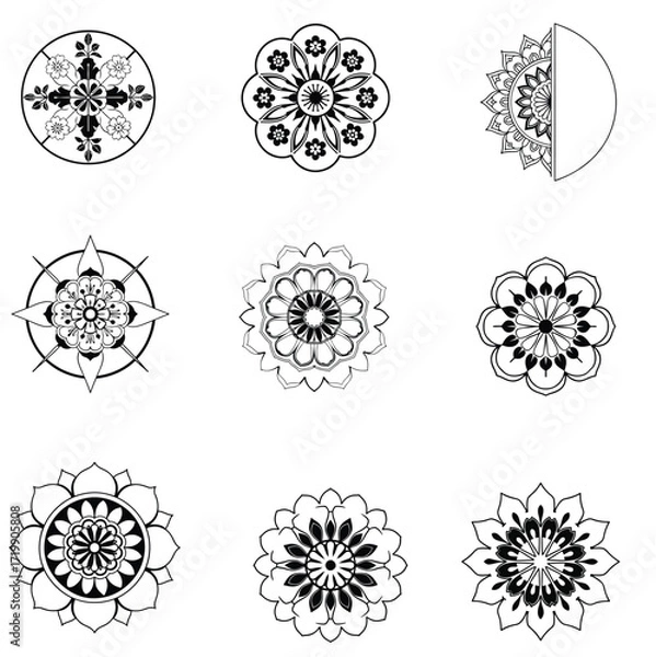 Fototapeta A premium set of vector floral elements with a black and white flower design