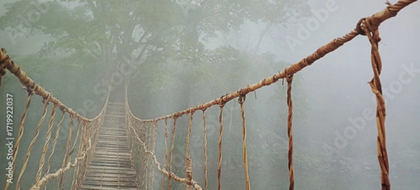 Obraz Amazon Natural Park Canopy Walk. 