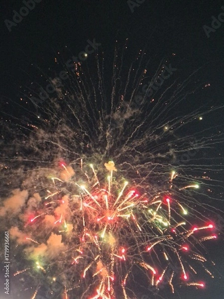 Fototapeta colorful fireworks in the sky