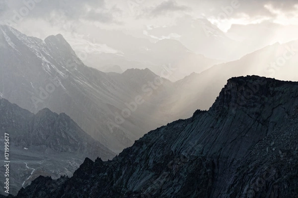 Obraz Sunlight after the rain