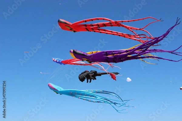 Fototapeta Kites in the Sky