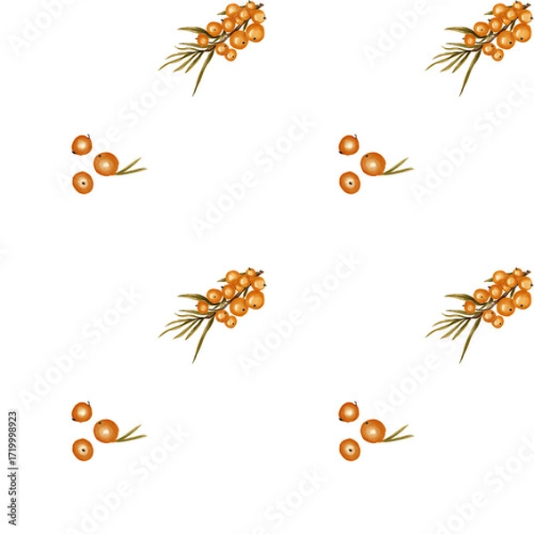 Obraz Sea Buckthorn Fruit Seamless Texture
