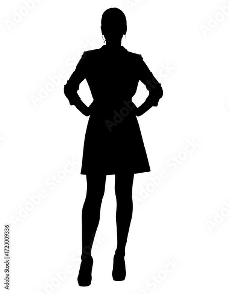 Fototapeta Silhouette of a woman in business attire